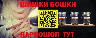 СК Камышлов