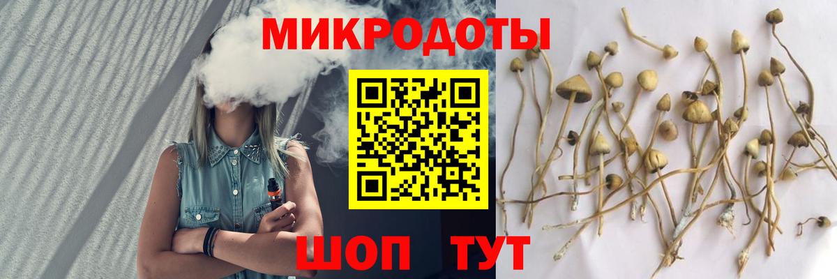 Псилоцибиновые грибы ЛСД  Вход с VPN  где продают наркотики  Старый Оскол 